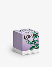 Liquorice medium scented candle 610g