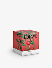 Tomato Leaves large scented candle 2120g