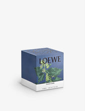 Ivy large scented candle 2.12kg