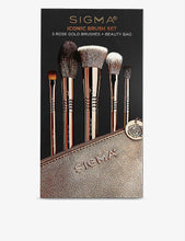 Iconic make-up brush set