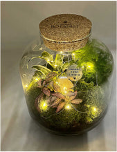 Baby Girl Grande Ecosystem recycled-glass terrarium with lights