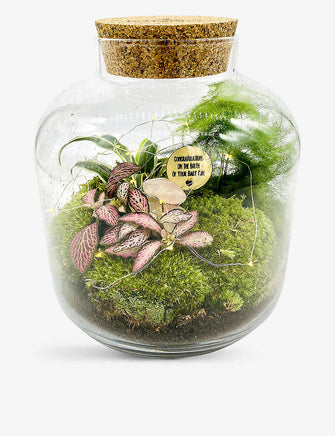 Baby Girl Grande Ecosystem recycled-glass terrarium with lights