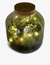 Baby Boy Grande Ecosystem recycled-glass terrarium 23cm