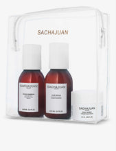 Scalp Discovery limited-edition set