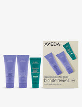 Blonde Revival™ and Botanical Repair™ set