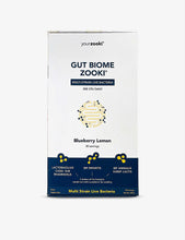 Blueberry Lemon Gut Biome 30g