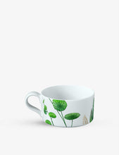 Avarua botanical-print porcelain tea cup 230ml