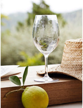 Rounded picnic wine glass 23cm