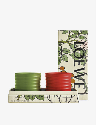 Luscious Pea and Tomato Leaves scented candle gift set