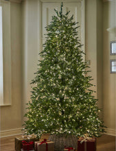 Bedminster Spruce 7.5ft Medium artificial Christmas tree