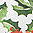 Green Holly botanical-print paper Christmas crackers pack of six