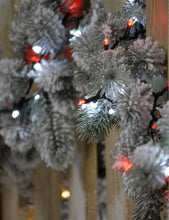 1000 Firefly Candy Cane LED multicoloured Christmas tree lights 26m