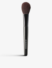 Face Color brush