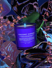 Hackney Garden scented candle 240g