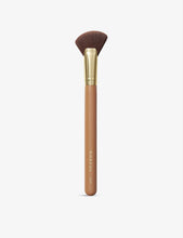 M610 Glow Show highlighter fan brush