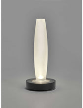 Ann Demeulemeester Lys frosted-glass and ash-wood table lamp vase 51cm