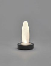 Ann Demeulemeester Lys frosted-glass and ash-wood table lamp vase 22cm