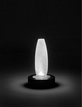 Ann Demeulemeester Lys frosted-glass and ash-wood table lamp vase 22cm