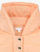 Quilted padded shell jacket 6 months - 3 years