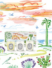 Summer Essentials limited-edition scented candles set of three