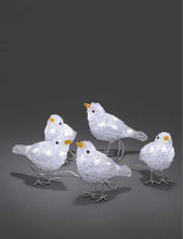 Acrylic Birds 5-piece acrylic light set