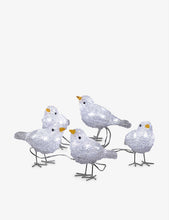 Acrylic Birds 5-piece acrylic light set