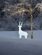 Acrylic Reindeer LED decoration 105cm