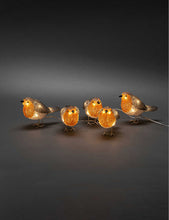 Acrylic Robins 5-piece LED light set