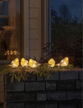 Acrylic Robins 5-piece LED light set