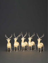 Acrylic Reindeer 5-piece LED set