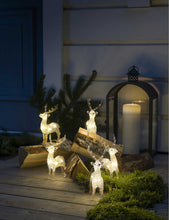 Acrylic Reindeer 5-piece LED set