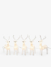 Acrylic Reindeer 5-piece LED set