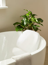 John LewisSpecialist Synthetic Full Body Bath Cushion