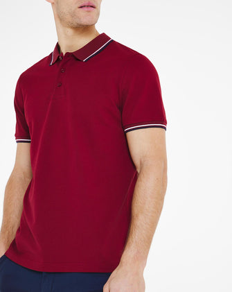 Wine Pique Tipped Polo Reg