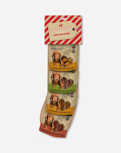 Rosewood Christmas Treat Stocking